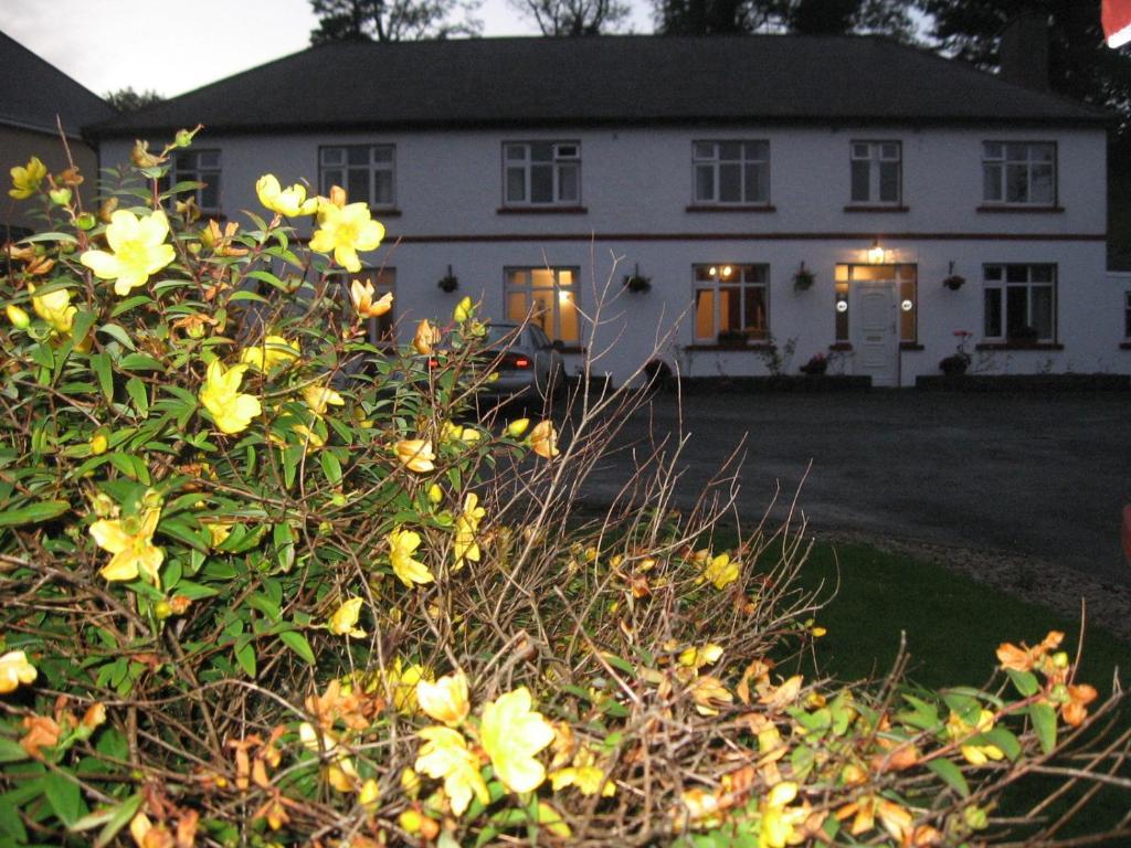 Hotel Woodlawn House Killarney Exterior foto